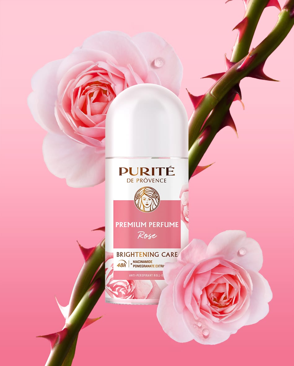 PURITÉ 4